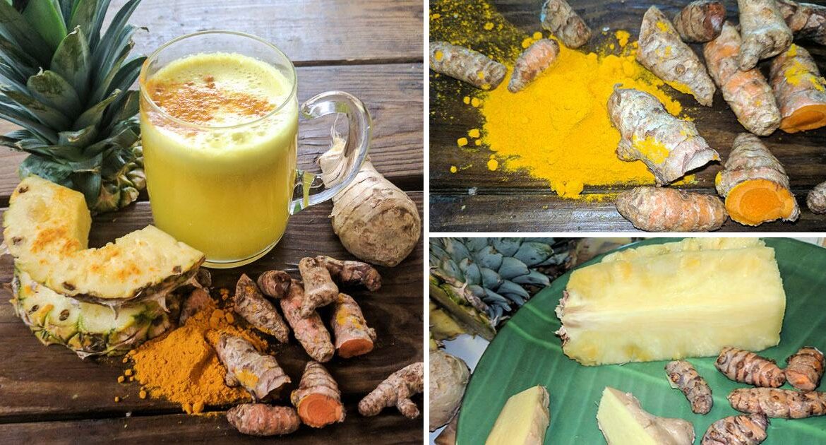 Turmeric, Pineapple and ginger chopped and whole, a glass of smoothie with the herbal ingredients we mentioned
