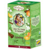 Τσάι Chakras "Loving" πράσινο τσάι πορτοκάλι & κανέλα BIO Shoti Maa 16 φακελάκια 32gr στο πλάι